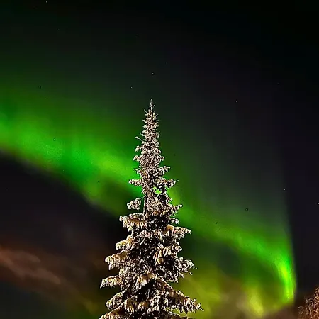 Relax Shaman Rovaniemi