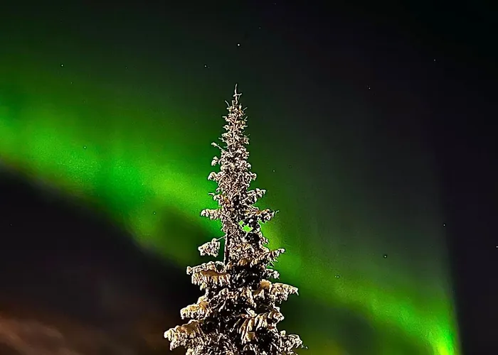 Relax Shaman Rovaniemi